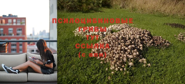 дмт Армянск