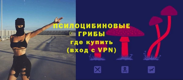 прущие крисы Арсеньев