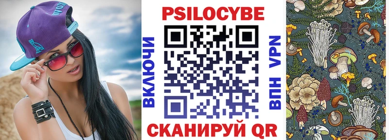 Псилоцибиновые грибы Cubensis  МЕГА маркетплейс  Мичуринск  купить закладку 