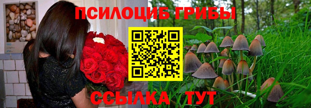 Мичуринск  Псилоцибиновые грибы Psilocybine cubensis  купить наркоту  Вход с VPN 